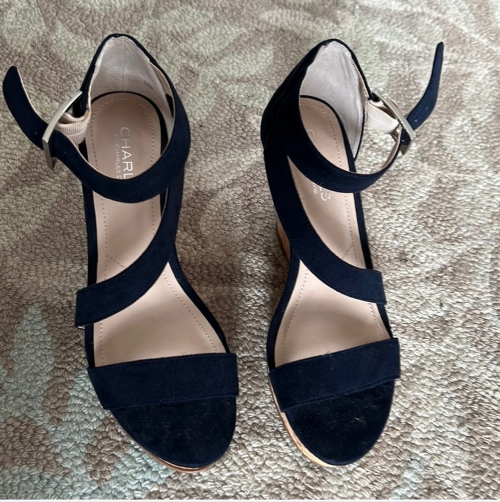 Charles by Charles David Wedge Heel‎ Navy blue Sude Size 9.5